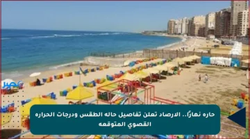 حارة نهارًا.. الأرصاد تعلن تفاصيل حالة الطقس ودرجات الحرارة القصوى المتوقعة